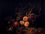 Rachel Ruysch Still-Life with Fruit and Insects oil painting